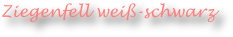 Ziegenfell weiß-schwarz