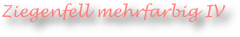Ziegenfell mehrfarbig IV