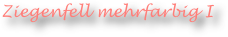 Ziegenfell mehrfarbig I